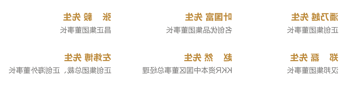 董事会及决策委员会成员_画板 1.png